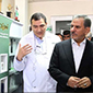 طبیعت زنده