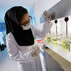 طبیعت زنده