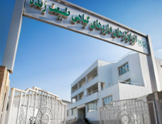 طبیعت زنده