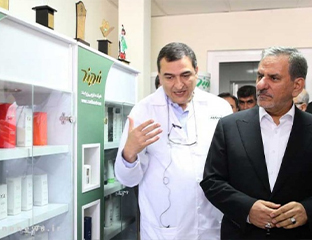 طبیعت زنده